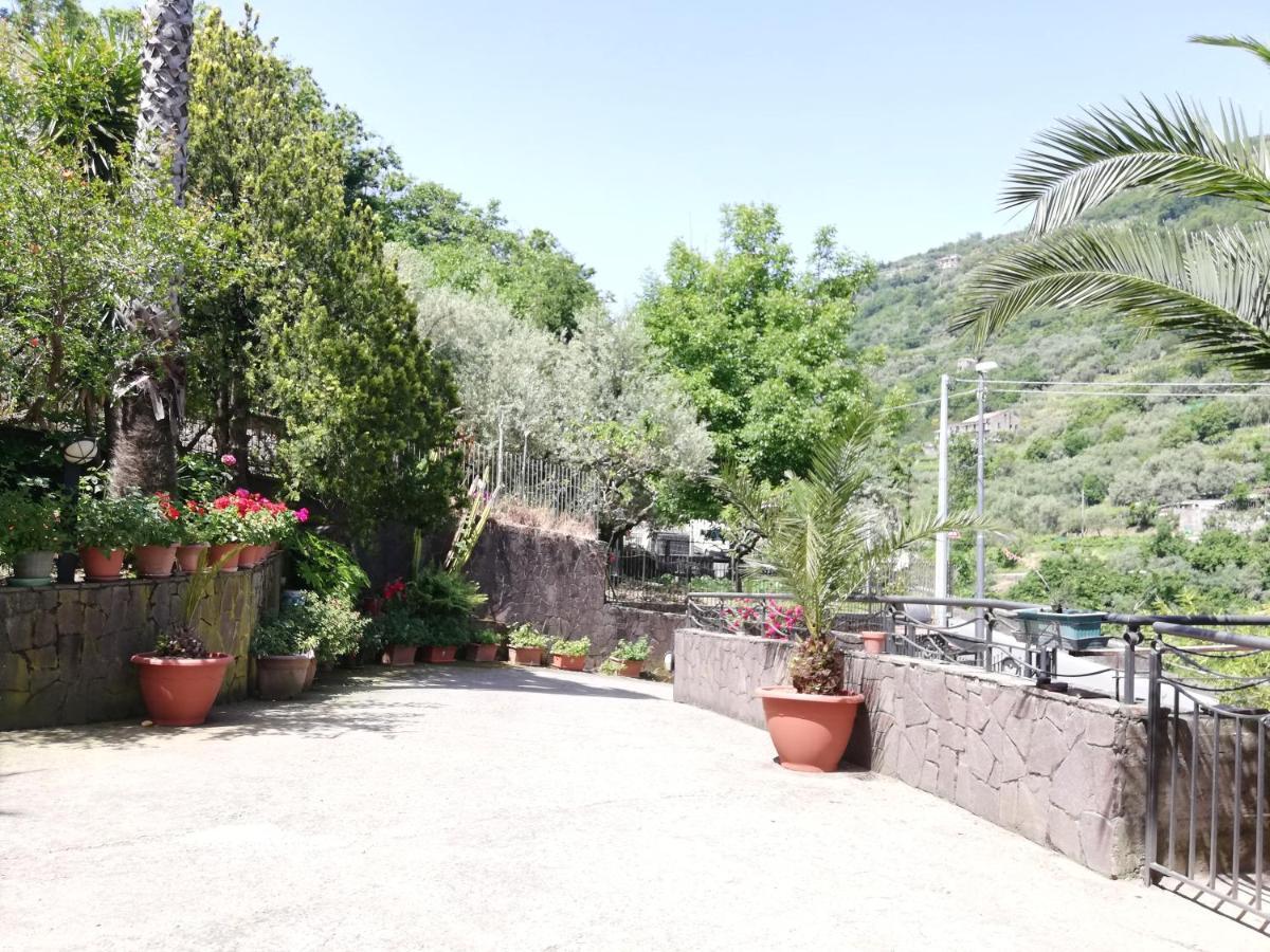 Il Giardino Pimonte Exterior foto