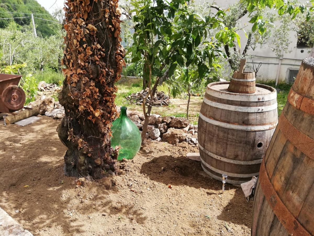 Il Giardino Pimonte Exterior foto
